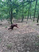 WhatsApp Image 2024-07-23 at 18.15.23 (18).jpeg